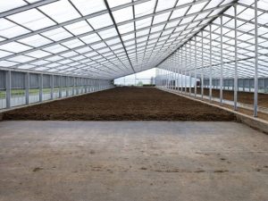 天恵力プラスを与えた飼育