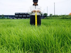 腸内微生物の活性化で
生フン尿が散布できる