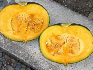 カボチャの糖度