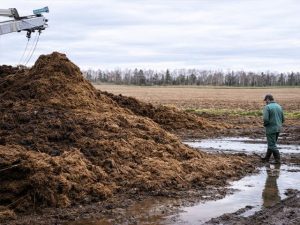 天恵力プラスを与えた飼育